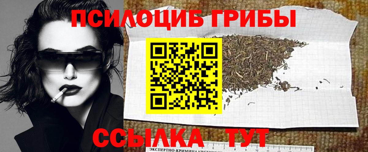 Шелехов  Псилоцибиновые грибы Magic Shrooms  Вход с VPN  Галлюциногенные грибы прущие грибы 